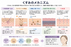 くすみのメカニズム